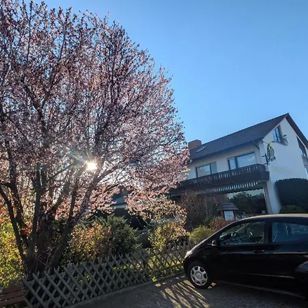 Hotel Sonneneck - Im Naturpark