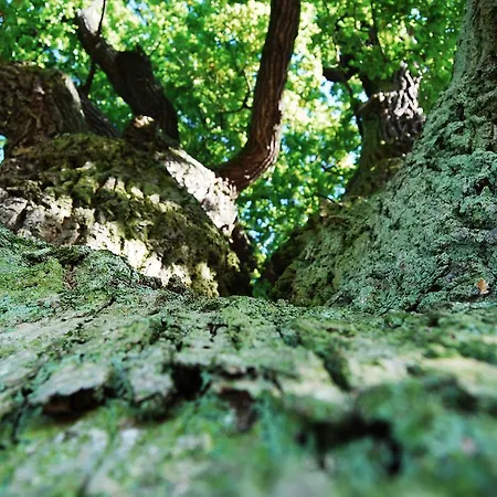Sonneneck - Im Naturpark Breuna