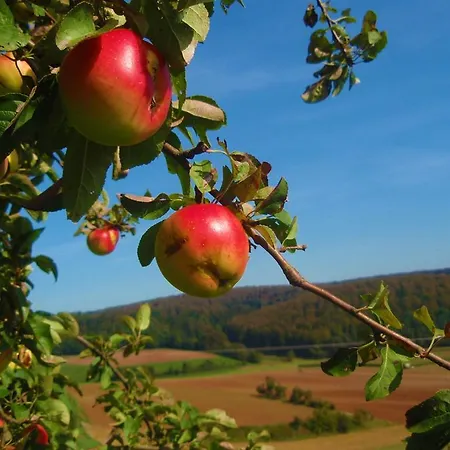 Sonneneck - Im Naturpark Hotel Breuna