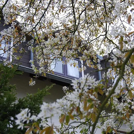 Hotel Sonneneck - Im Naturpark Breuna